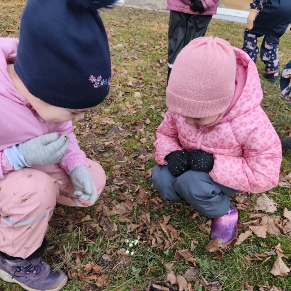 Bērni pietupušies skatās uz tikko uzplaukušām sniegpulkstenītēm. Pārējā zeme ar skujām un brūnām iepriekšējā gada lapām.