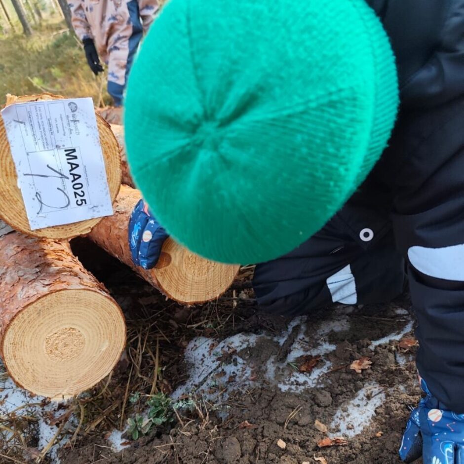 Bērns ar zaļu cepuri noliecies u skaita nozāģētam kokam gadus. Kokam ir uzlīme ar uzrakstu MAA025