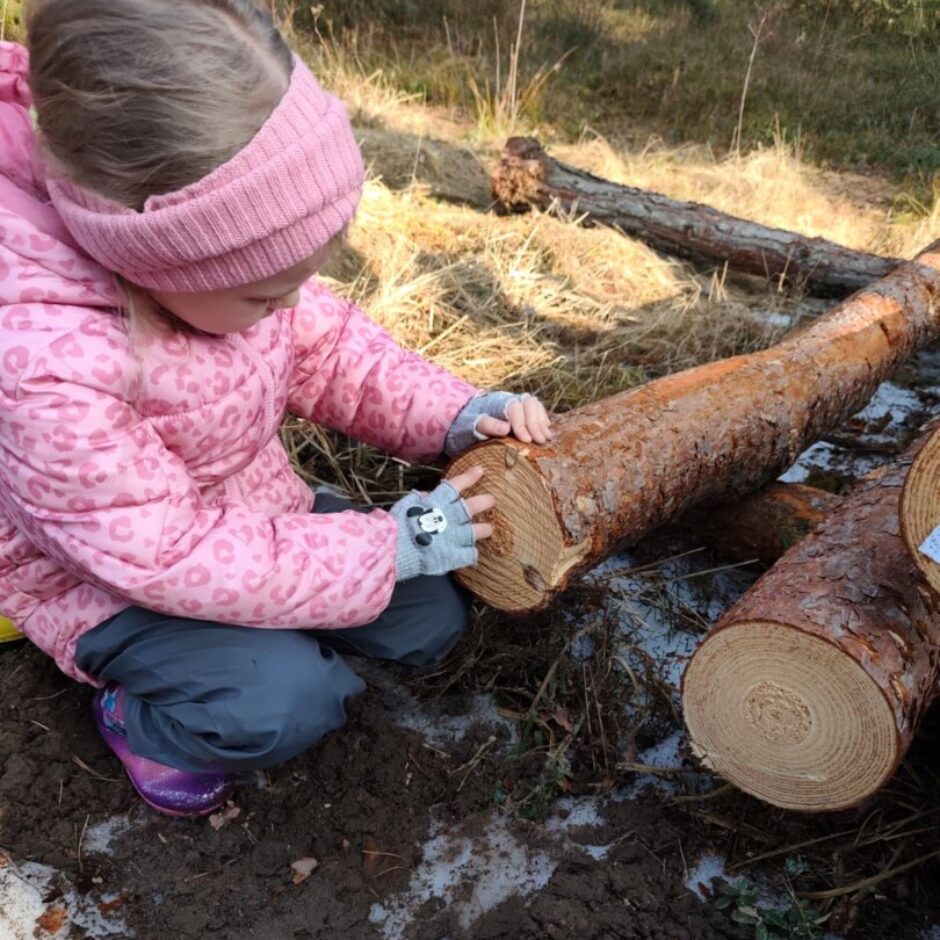 Meitene rozā apģērbā skatās nozāģētu priedi. Fonā meža zemes ainava.