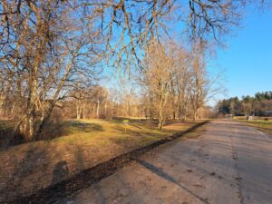 Saulains rīts diskgolfa parkā ar asfaltētu ceļu labajā pusē, kailiem lapu kokiem un zaļgani brūnu zāli. Kreisajā pusē redzams dzeltens diskgolfa grozs, fonā zilas debesis.